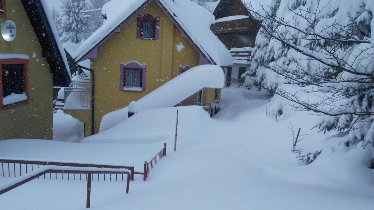 Apartmani Miletic Kopaonik Exterior foto