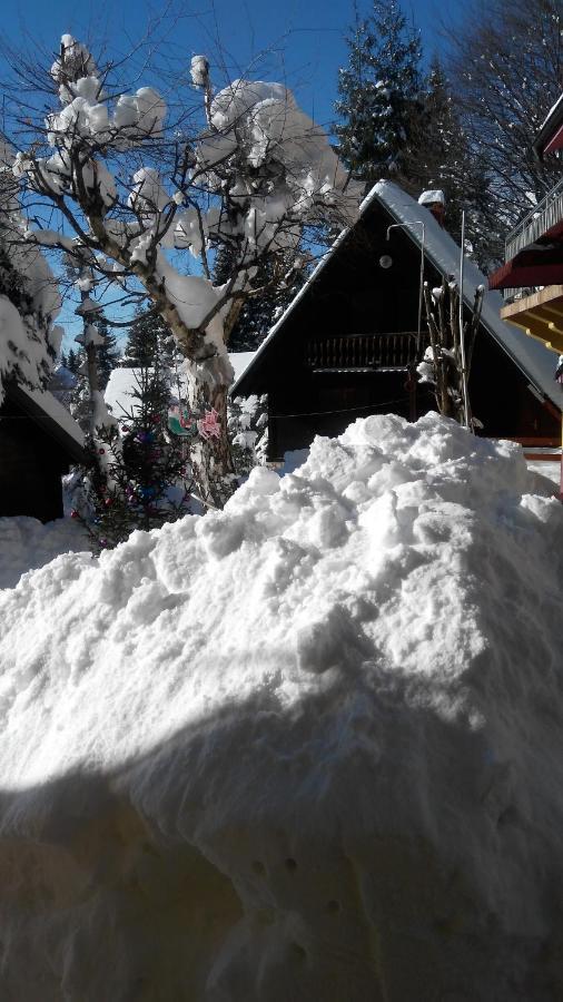 Apartmani Miletic Kopaonik Exterior foto